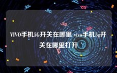 VIVO手机5G开关在哪里 vivo手机5g开关在哪里打开