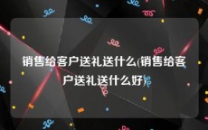 销售给客户送礼送什么(销售给客户送礼送什么好)