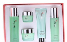 秀是韩国什么档次的化妆品(伊安秀在韩国什么档次)
