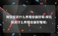 现在投资什么养殖业最好呢(现在投资什么养殖业最好呢呢)