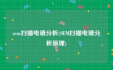 sem扫描电镜分析(SEM扫描电镜分析原理)