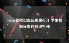 iphone权限设置在哪里打开 苹果权限设置在哪里打开