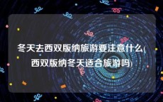 冬天去西双版纳旅游要注意什么(西双版纳冬天适合旅游吗)