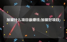 加盟什么项目最赚钱(加盟好项目)
