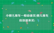 小婴儿推车一般由谁买(婴儿推车应该谁来买)