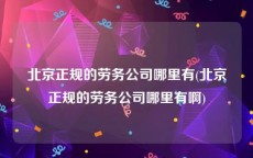 北京正规的劳务公司哪里有(北京正规的劳务公司哪里有啊)