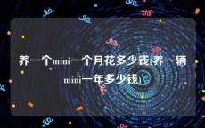 养一个mini一个月花多少钱(养一辆mini一年多少钱)