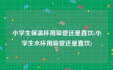 小学生保温杯用吸管还是直饮(小学生水杯用吸管还是直饮)