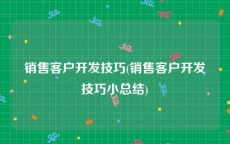 销售客户开发技巧(销售客户开发技巧小总结)