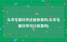 头发毛囊坏死还能恢复吗(头发毛囊坏死可以恢复吗)