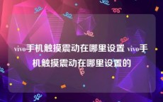 vivo手机触摸震动在哪里设置 vivo手机触摸震动在哪里设置的