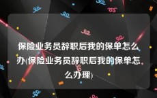 保险业务员辞职后我的保单怎么办(保险业务员辞职后我的保单怎么办理)