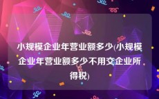 小规模企业年营业额多少(小规模企业年营业额多少不用交企业所得税)