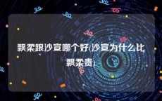 飘柔跟沙宣哪个好(沙宣为什么比飘柔贵)