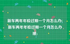 新车两年年检过期一个月怎么办(新车两年年检过期一个月怎么办理)