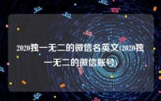 2020独一无二的微信名英文(2020独一无二的微信账号)