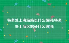 特务处上海站站长什么级别(特务处上海区站长什么级别)