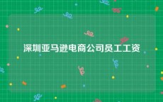 深圳亚马逊电商公司员工工资