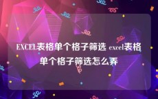 EXCEL表格单个格子筛选 excel表格单个格子筛选怎么弄