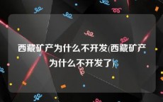 西藏矿产为什么不开发(西藏矿产为什么不开发了)