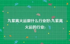 九紫离火运做什么行业好(九紫离火运的行业)
