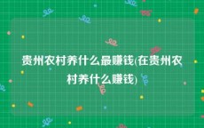 贵州农村养什么最赚钱(在贵州农村养什么赚钱)