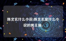 陈北玄什么小说(陈北玄是什么小说的男主角)