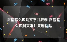 微信怎么识别文字并复制 微信怎么识别文字并复制粘贴