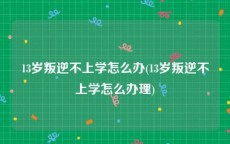 13岁叛逆不上学怎么办(13岁叛逆不上学怎么办理)