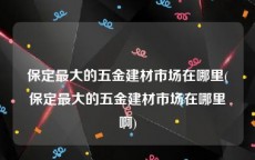 保定最大的五金建材市场在哪里(保定最大的五金建材市场在哪里啊)