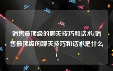 销售最顶级的聊天技巧和话术(销售最顶级的聊天技巧和话术是什么)