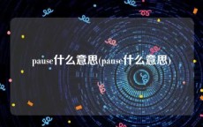 pause什么意思(pause什么意思)
