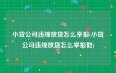 小贷公司违规放贷怎么举报(小贷公司违规放贷怎么举报他)