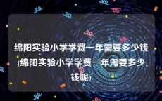 绵阳实验小学学费一年需要多少钱(绵阳实验小学学费一年需要多少钱呢)