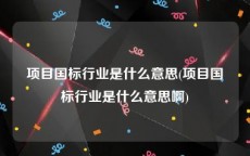 项目国标行业是什么意思(项目国标行业是什么意思啊)