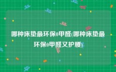 哪种床垫最环保0甲醛(哪种床垫最环保0甲醛又护腰)