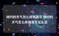 纽约的天气怎么样用英文 纽约的天气怎么样用英文怎么说