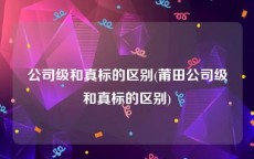 公司级和真标的区别(莆田公司级和真标的区别)