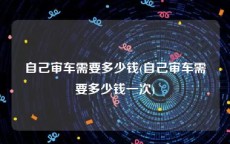 自己审车需要多少钱(自己审车需要多少钱一次)