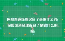 保险渠道经理说白了是做什么的(保险渠道经理说白了是做什么的呢)