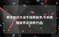养牛知识大全牛饲养技术(牛的养殖技术及饲养方法)