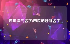 西瓜洋气名字(西瓜的好听名字)