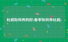 杜鹃如何养的好(春季如何养杜鹃)