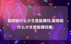襄阳做什么小生意能赚钱(襄阳做什么小生意能赚钱呢)