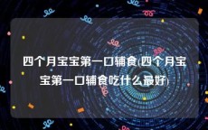 四个月宝宝第一口辅食(四个月宝宝第一口辅食吃什么最好)
