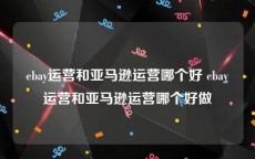 ebay运营和亚马逊运营哪个好 ebay运营和亚马逊运营哪个好做