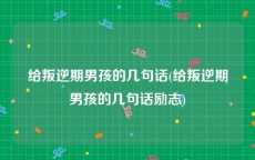 给叛逆期男孩的几句话(给叛逆期男孩的几句话励志)