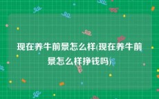 现在养牛前景怎么样(现在养牛前景怎么样挣钱吗)