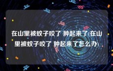 在山里被蚊子咬了 肿起来了(在山里被蚊子咬了 肿起来了怎么办)