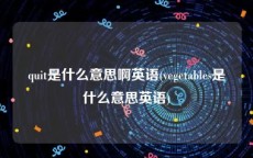 quit是什么意思啊英语(vegetables是什么意思英语)